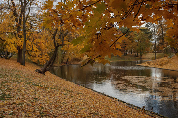 istock autumn in park Riga 495502778