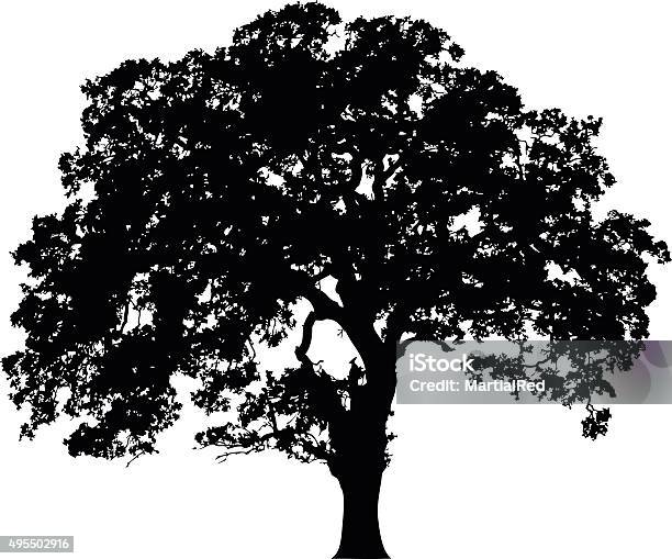 Beautiful Vector Tree Silhouette Icon For Websites Stock Illustration - Download Image Now - In Silhouette, Oak Tree, Tree