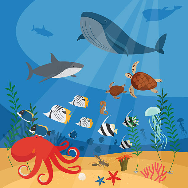 podwodne wektor tle - animal animal themes sea below stock illustrations