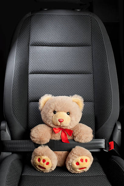 istock Teddy bear wearing seat-belt in car 495508137