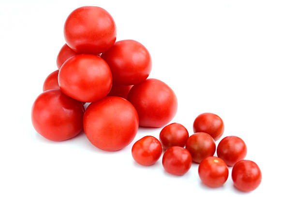 istock Image of fresh organic tomatoes and cherry tomatoes, isolated background 495509665