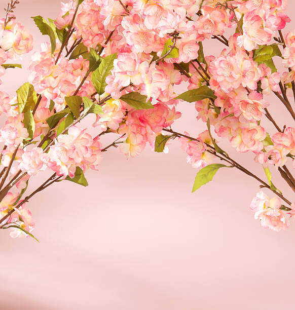 istock Pink flowers decorating the flat 495510985