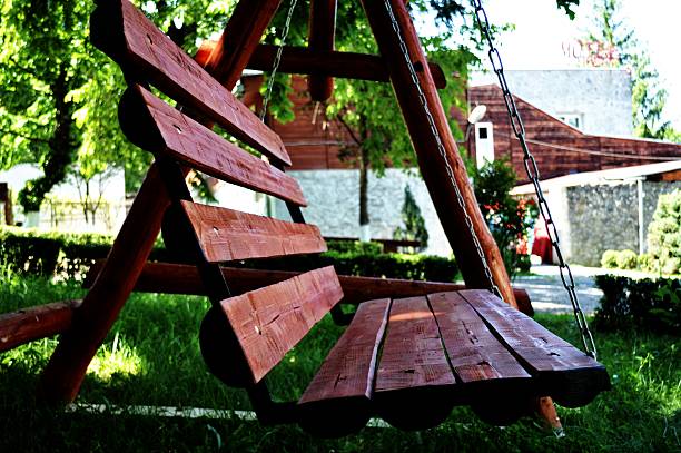 istock Swing back to your childhood 495511777