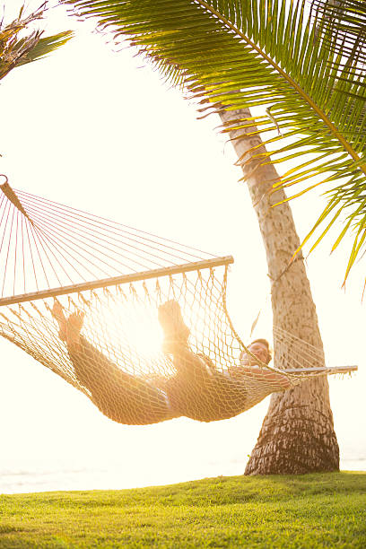 istock Couple relaxing in tropical hammock 495513757