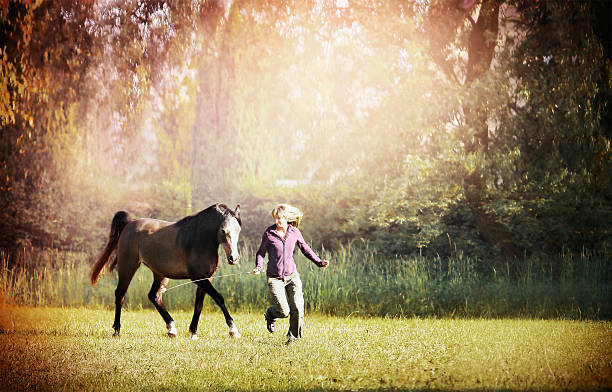 femme et cheval brun courir à travers la prairie avec big trees - running horses photos et images de collection