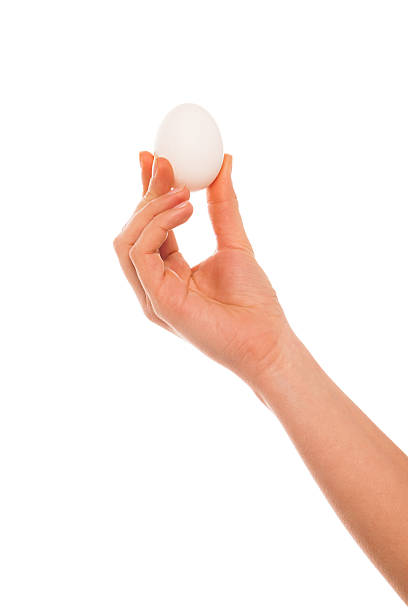 istock Woman hand with egg isolated on white background 495518210