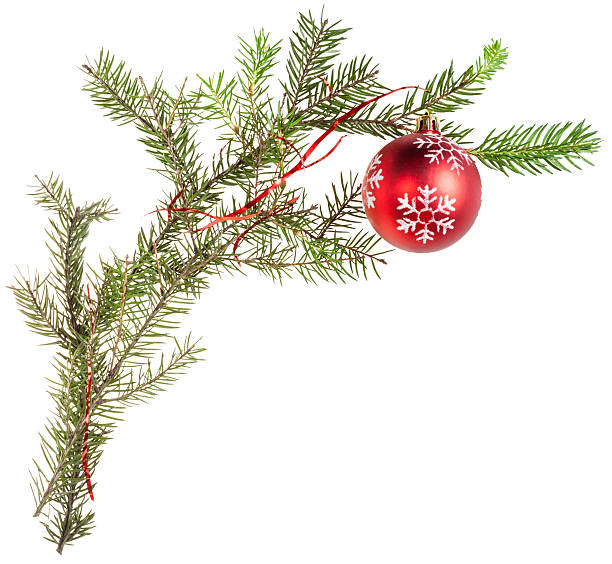 istock twig of fir tree with cone and red ball 495518322