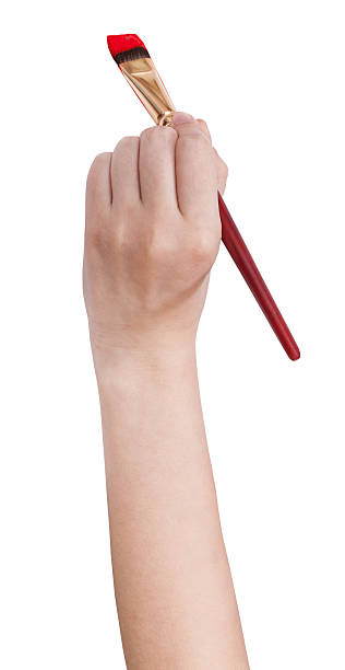 istock hand holds art flat paintbrush with red paint 495518380