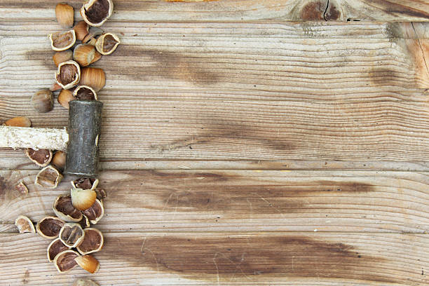 istock Hazelnut, hammer and cracked nutshell on old wooden background 495520998