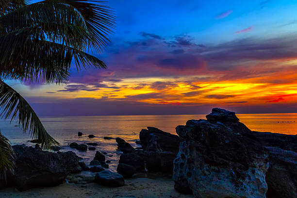 Sunset through the palm trees over the caraibe sea