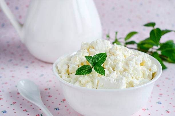 istock Fresh homemade cottage cheese 495523088