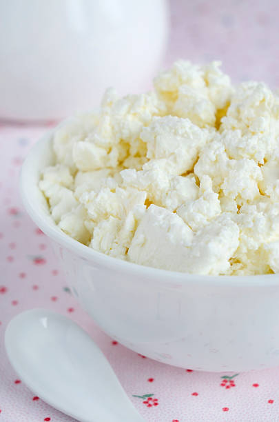 istock Fresh homemade cottage cheese 495523132