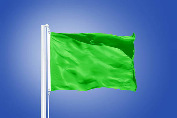 istock Green flag flying against clear blue sky 495538774