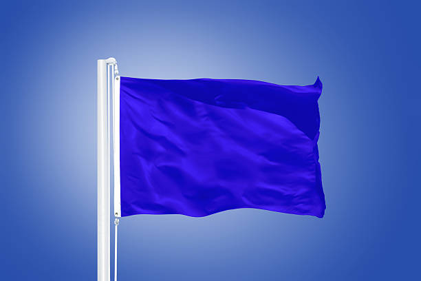 istock Blue flag flying against clear blue sky 495538970