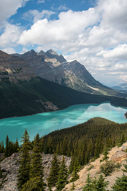 istock Peyto Lake, Banff National Park. 495540422