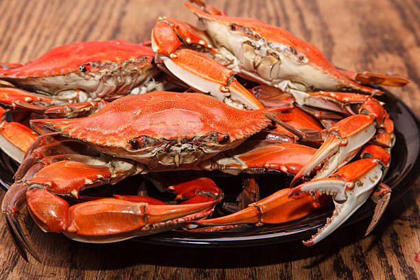 istock Heap of steamed Blue Crabs on a wooden table 495540903