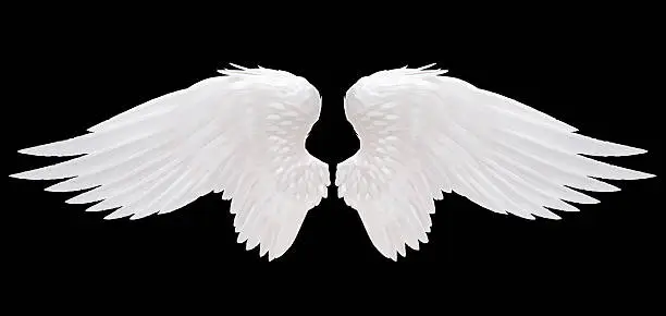 Photo of angel wing