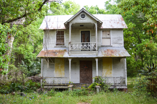 This beautiful old southern style frame vernacular home has seen better days. It is now abandoned and overgrown and in need of restoration.