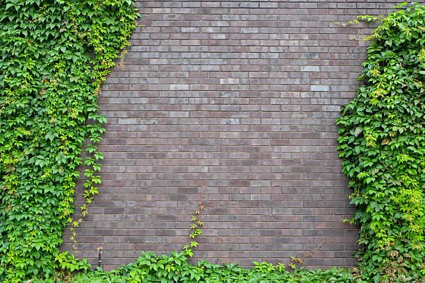 istock Close up of a brick wall Brithis style texture background 495542771