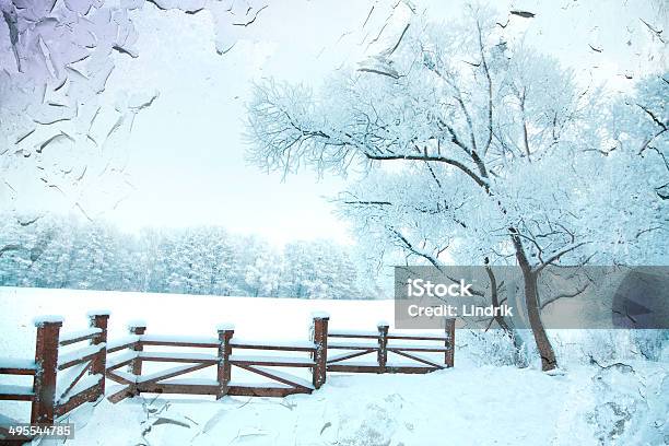 Floresta De Inverno - Fotografias de stock e mais imagens de Azul - Azul, Cena Rural, Chuva congelada