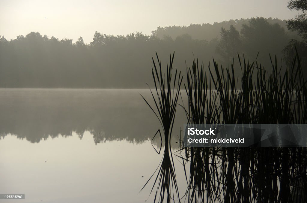 Scena di mattina sul lago - Foto stock royalty-free di Acqua