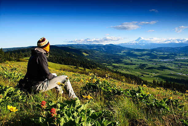 biznesmenów patrząc na widok góra hood - mountain mountain peak snow spring zdjęcia i obrazy z banku zdjęć