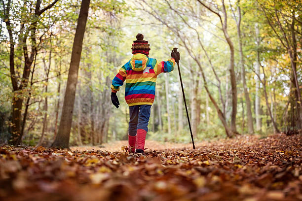 caminar en otoño y el invierno. - recreational trail fotografías e imágenes de stock