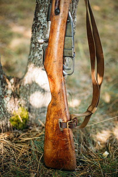 istock Old soviet rifle of World War II leaning against tree 495557606