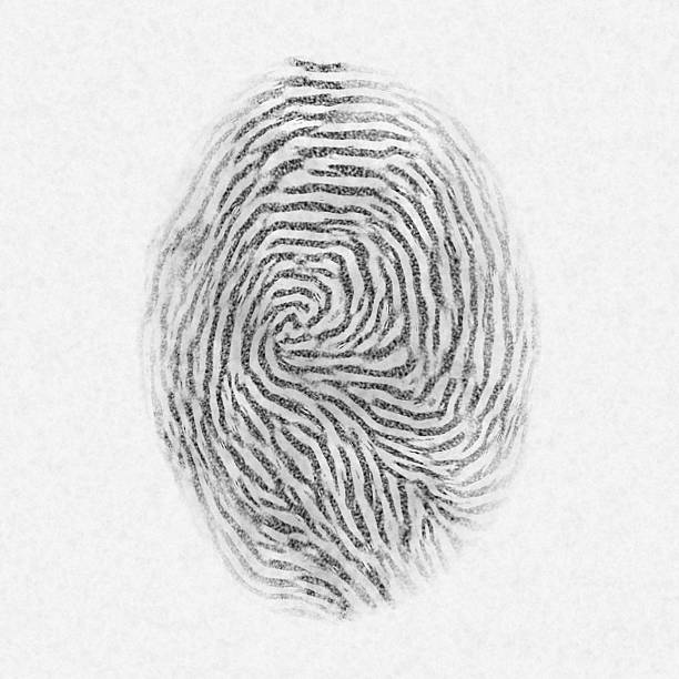 istock Black fingerprint on isolated background 495559048
