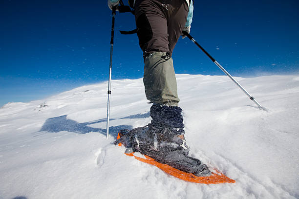 istock Hiker in winter mountains 495561144