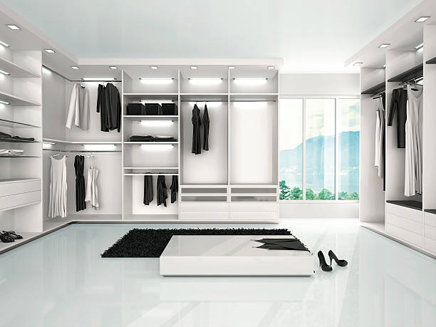 istock illustration of luxury wardrobe in modern style 495562638