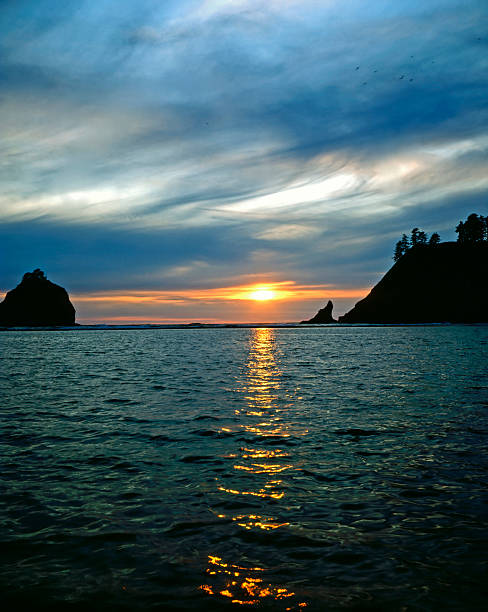 istock Coast of Oregon 495565045
