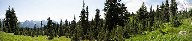 Mt Rainier Panorama stock photo