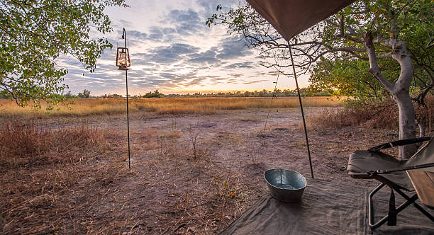 istock Sunrise over safari campsite in Botswana 495565217