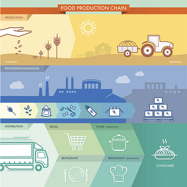 illustrazioni stock, clip art, cartoni animati e icone di tendenza di catena della produzione alimentare - semi truck