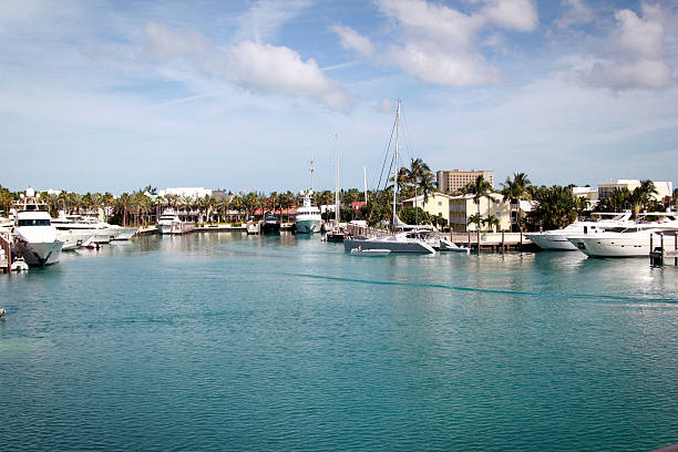 istock Luxury yachts at summer day 495566361