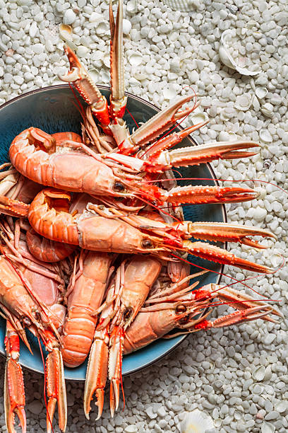 istock Fresh seafood straight from the sea 495566483