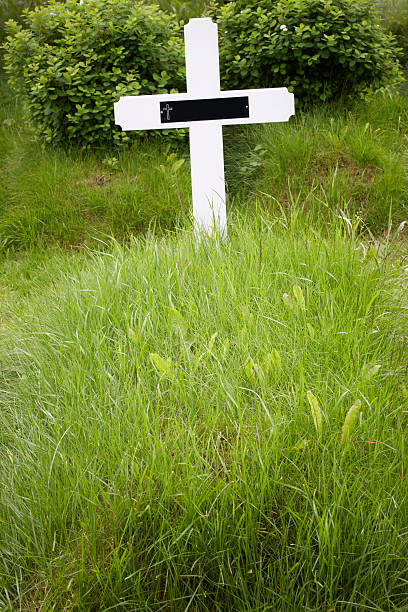 istock Iceland. Southeast area. Hof. Cemetery cross and grass. 495567303