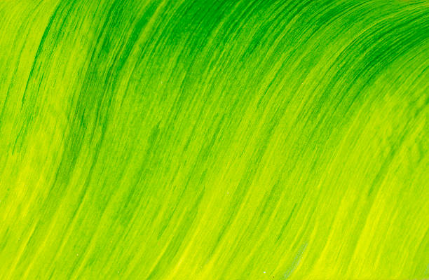 istock green and yellow banana leaf texture 495568187