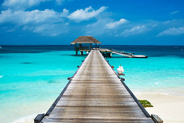 istock Beautiful beach with water bungalows 495570603