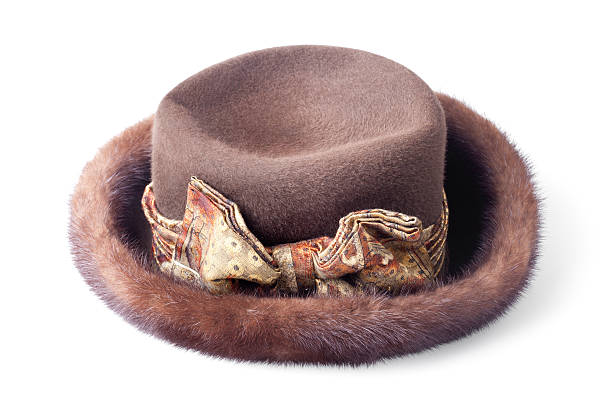istock brown female fur hat isolated on white background 495571211
