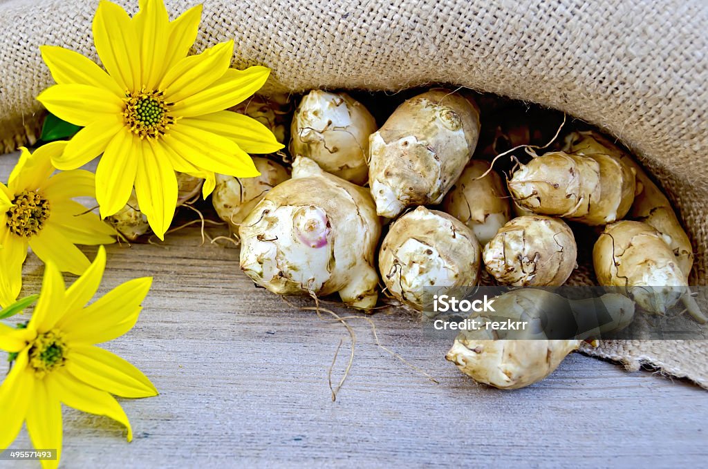 Jerusalem artichokes with burlap and flowers on board Tubers of Jerusalem artichoke and yellow flowers on burlap background and wooden boards Autumn Stock Photo
