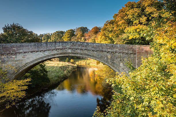 istock Twizel Bridge in Autumn 495573734