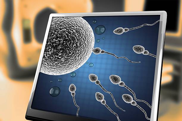 精子と卵の顕微鏡画像モニターの欄に記載してください。 - ovary human cell cell high scale magnification ストックフォトと画像