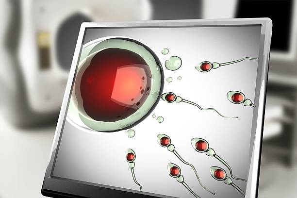 精子と卵のセル上の安全性監視 - ovary human cell cell high scale magnification ストックフォトと画像