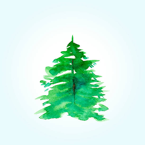 istock Hand drawn watercolor fir tree for Christmas card 495576786