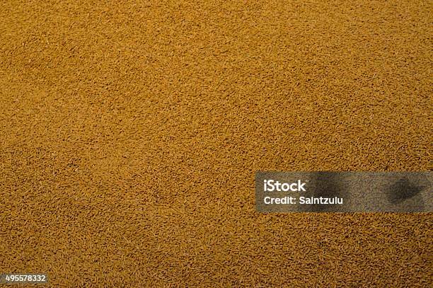 Barley And Wheat Background Stock Photo - Download Image Now - Brewery, Silo, 2015