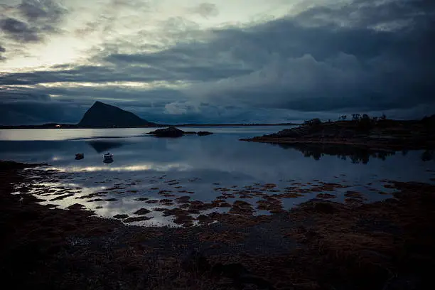 lofoten norway seaview from rocky coastline - dark/brown