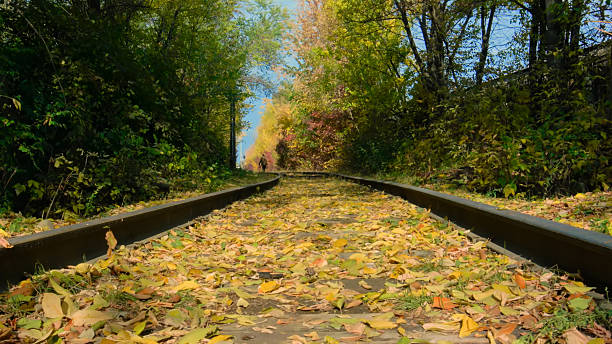 Jonesborough, TN, USA, Nov 9, 2024: Landscape, the old railroad tracks around town.