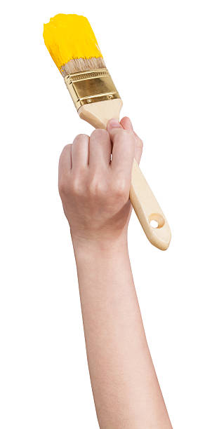 istock painter hand with flat paintbrush paints in yellow 495580812